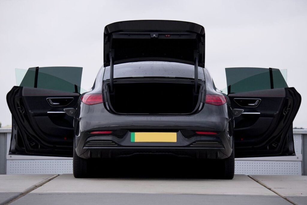 Tesla Model 3 Standard Plus — photo 6